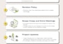 set up clickup as a clickup expert consultant